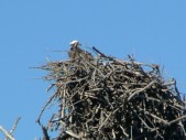 Everglade City Trip - 020.JPG