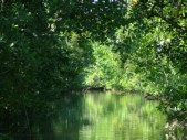 Everglade City Trip - 025.JPG
