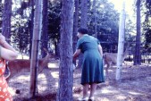PICT0050.JPG