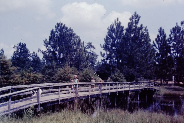 PICT0079.JPG