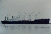 PICT0003.JPG