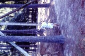 PICT0039.JPG