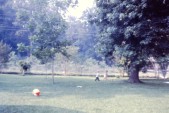PICT0054.JPG