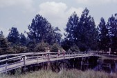 PICT0079.JPG