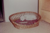 PICT0081.JPG