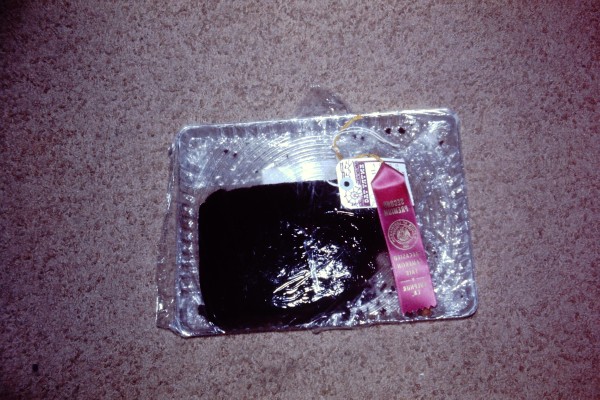 PICT0021.JPG