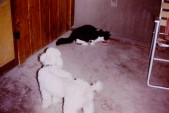 PICT0044.JPG