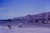 PICT0145.JPG