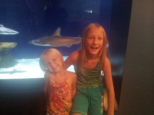 20120729_101404.jpg