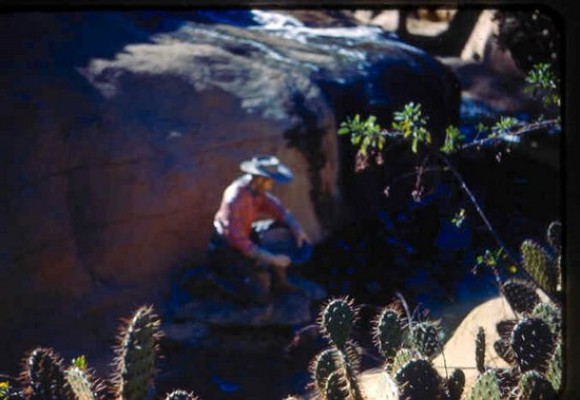 Walker Family Slides - 076.jpg