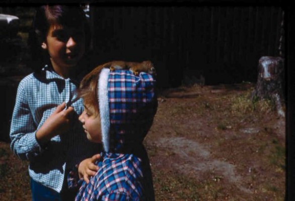 Old Turek Family Slides - 254.jpg