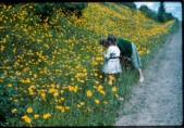 Old Turek Family Slides - 256.jpg
