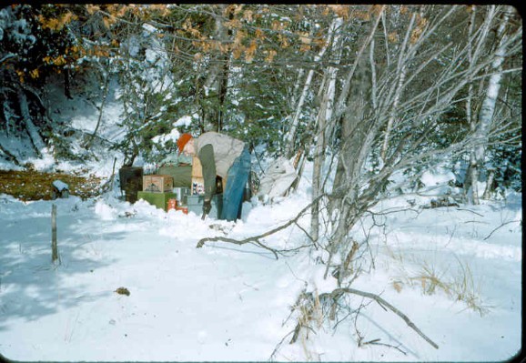 Old Turek Family Slides - 726.jpg