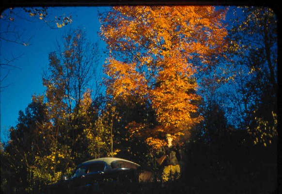 Old Turek Family Slides - 730.jpg