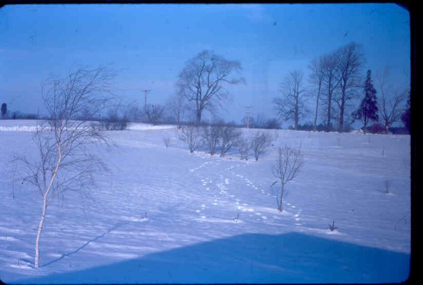 Old Turek Family Slides - 896.jpg