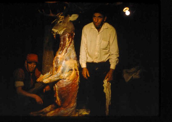 Old Turek Family Slides - 769.jpg