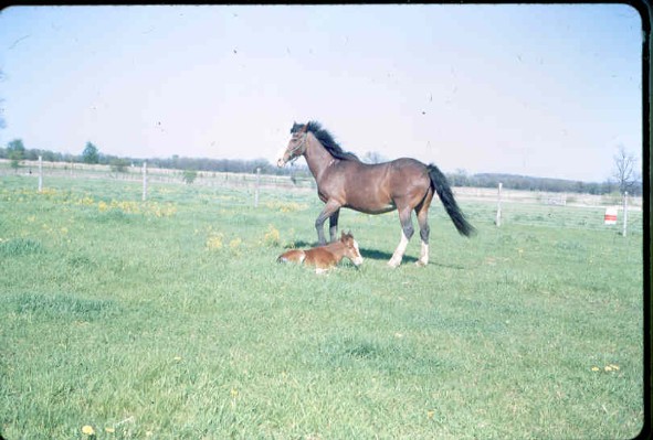 Old Turek Family Slides - 788.jpg