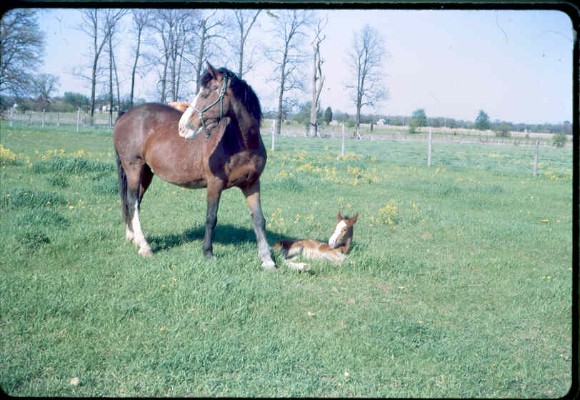 Old Turek Family Slides - 793.jpg
