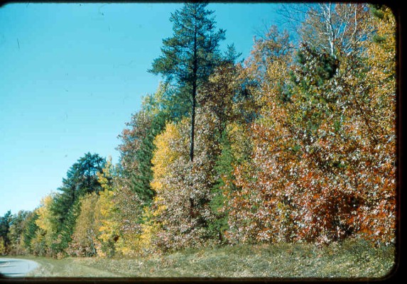 Old Turek Family Slides - 825.jpg