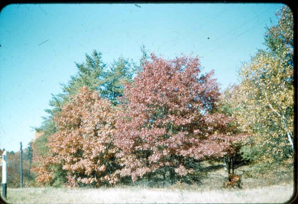 Old Turek Family Slides - 829.jpg