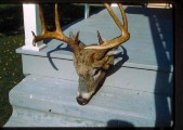 Old Turek Family Slides - 770.jpg