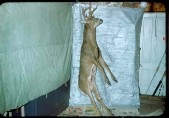 Old Turek Family Slides - 771.jpg