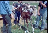 Old Turek Family Slides - 784.jpg
