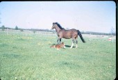 Old Turek Family Slides - 788.jpg