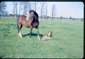 Old Turek Family Slides - 793.jpg
