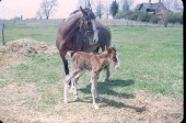 Old Turek Family Slides - 794.jpg