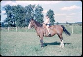 Old Turek Family Slides - 796.jpg