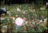 Old Turek Family Slides - 755.jpg