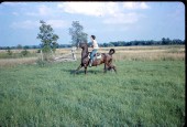 Old Turek Family Slides - 800.jpg