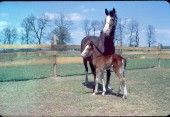 Old Turek Family Slides - 803.jpg
