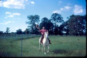 Old Turek Family Slides - 804.jpg