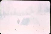 Old Turek Family Slides - 807.jpg