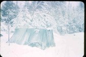 Old Turek Family Slides - 808.jpg