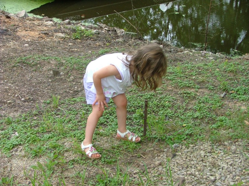 DSCF8864.JPG