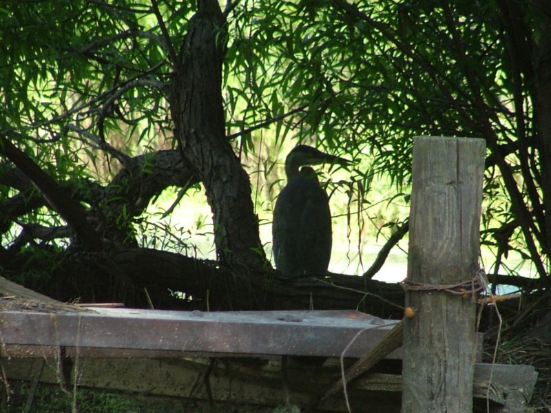 DSCF8875.JPG