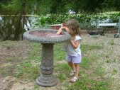 DSCF8863.JPG