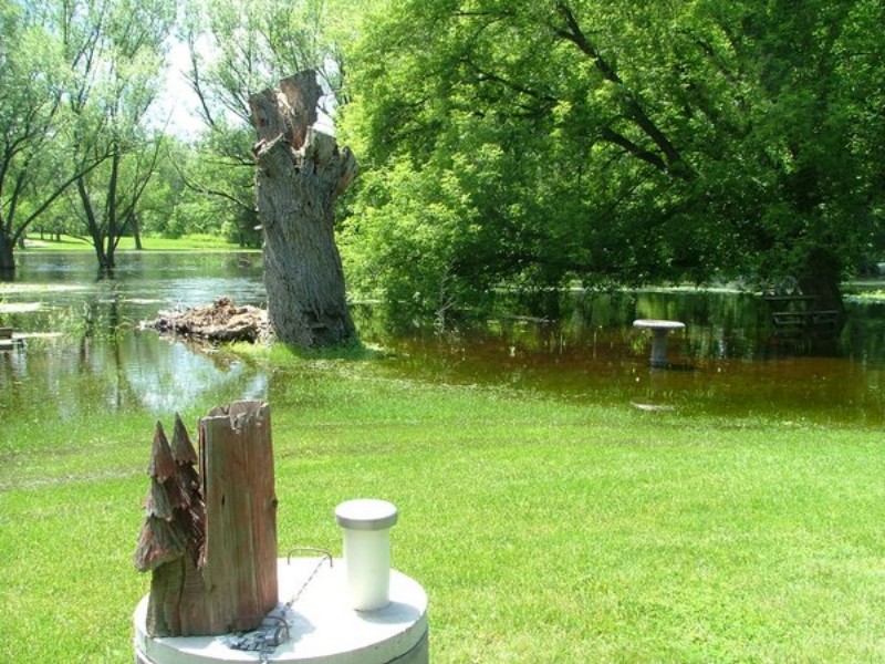 backyard2.JPG