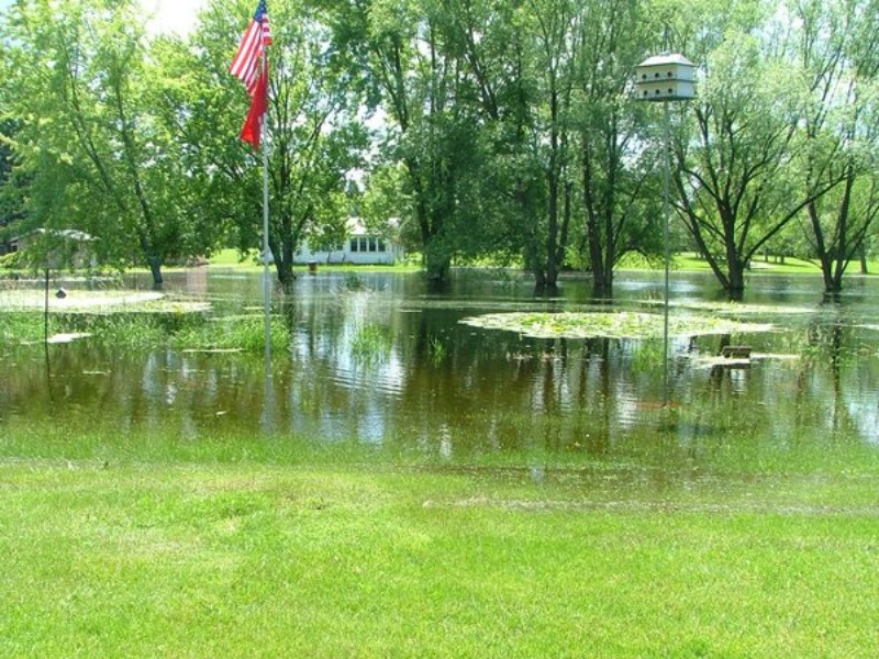 backyard.JPG