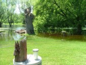 backyard2.JPG