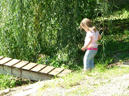 Labor Day 2007 - 007.JPG
