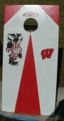 badgers2.jpg