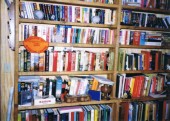 Bookcase - Ohio Basement.jpg